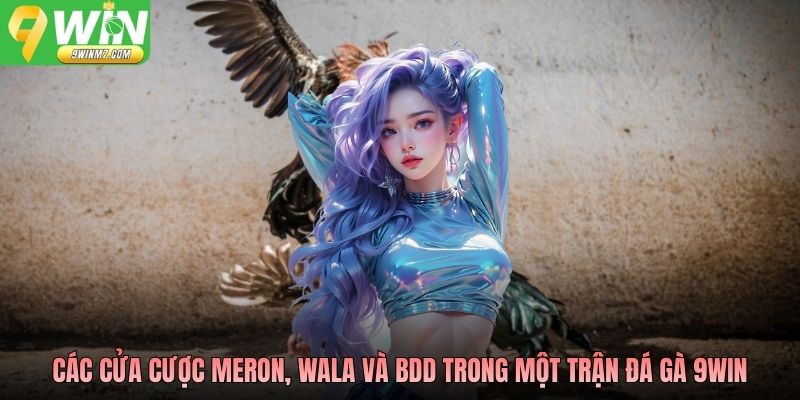 Các cửa cược Meron, Wala và BDD trong một trận đá gà 9WIN